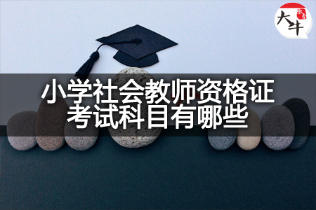 小学社会教师资格证考试科目