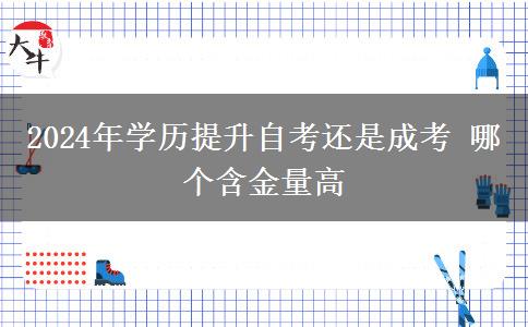 2024年学历提升自考还是成考 哪个含金量高