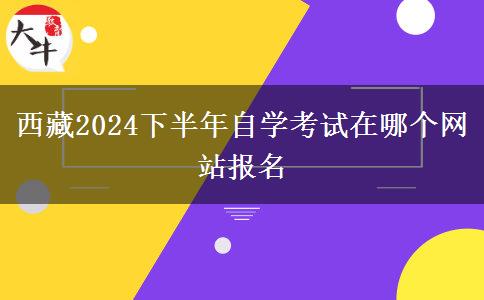 西藏2024下半年自学考试在哪个网站报名