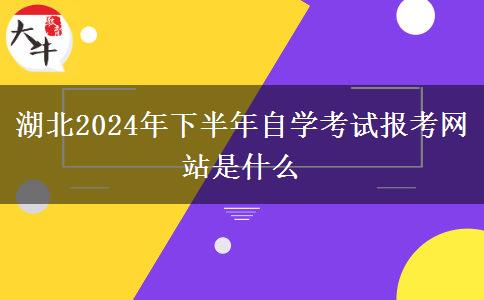 湖北2024年下半年自学考试报考网站是什么