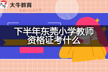 下半年东莞小学教师资格证