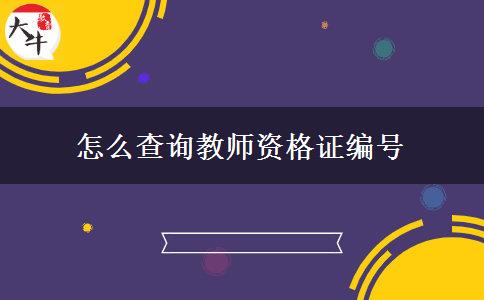 怎么查询教师资格证编号