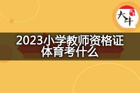 2023小学教师资格证体育