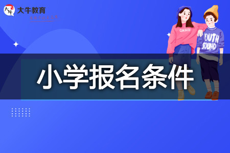 北京小学教资报名