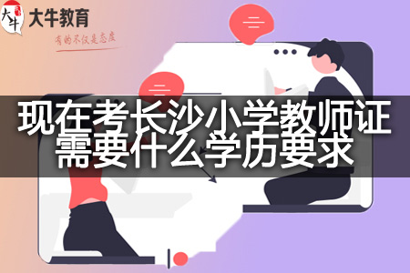 考长沙小学教师证学历要求