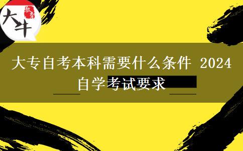 大专自考本科需要什么条件 2024自学考试要求